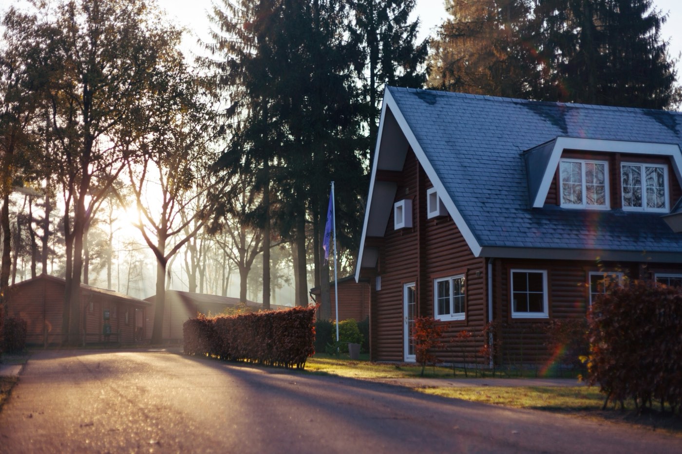 A family home at the end of a tree-lined drive, lit by early morning sun