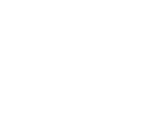 The Ritz-Carlton